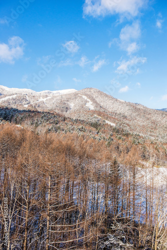 Beautiful landscape of winter season © kikujungboy