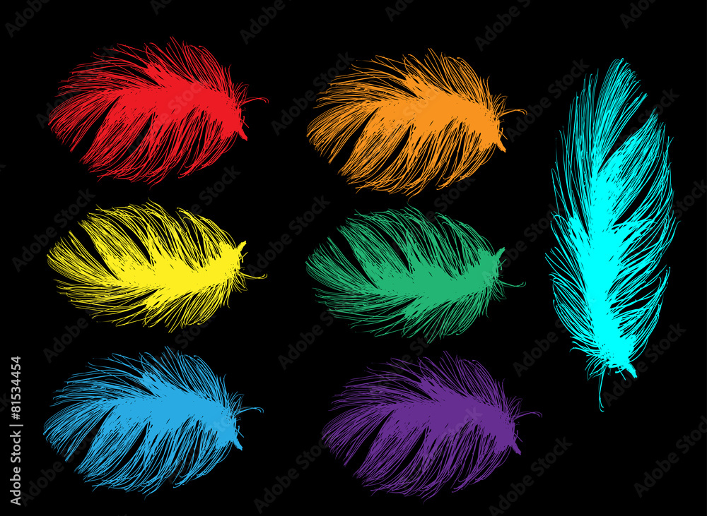 Obraz premium seven bright color feathers isolated on black