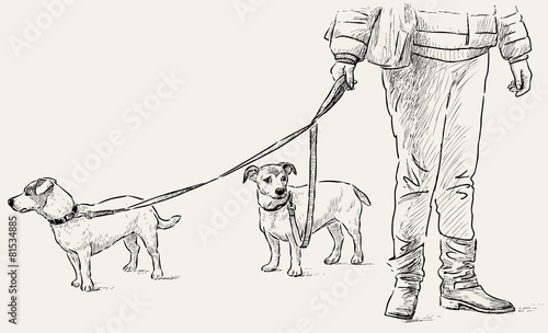 dogs on a walk