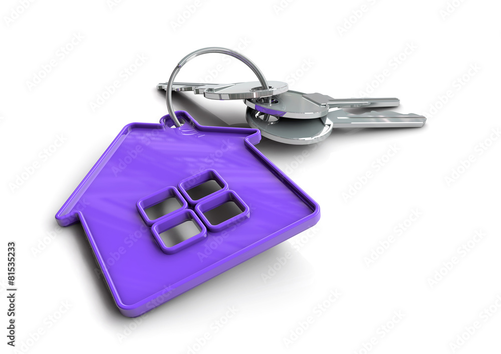 House keys with house icon as keyring House keys with house icon as keyring
