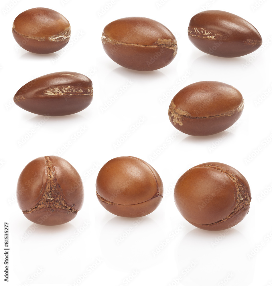 seeds of argan on white,a close up on white background seeds of argan on white,a close up on white background