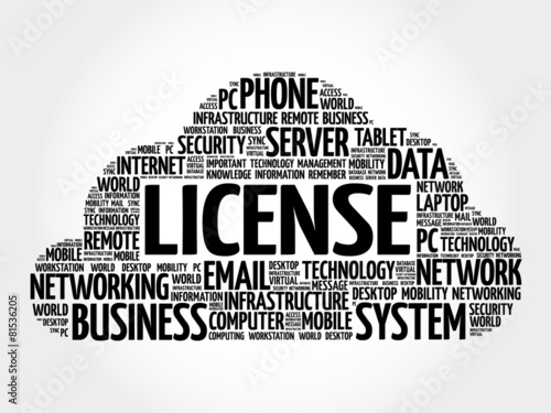 LICENSE word cloud, business concept