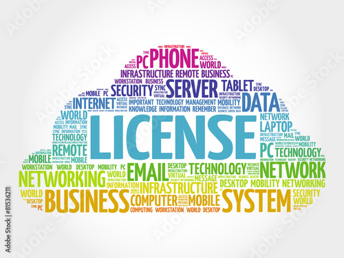 LICENSE word cloud, business concept