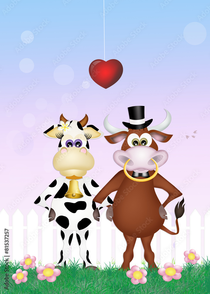 Naklejka premium bull and cow in love
