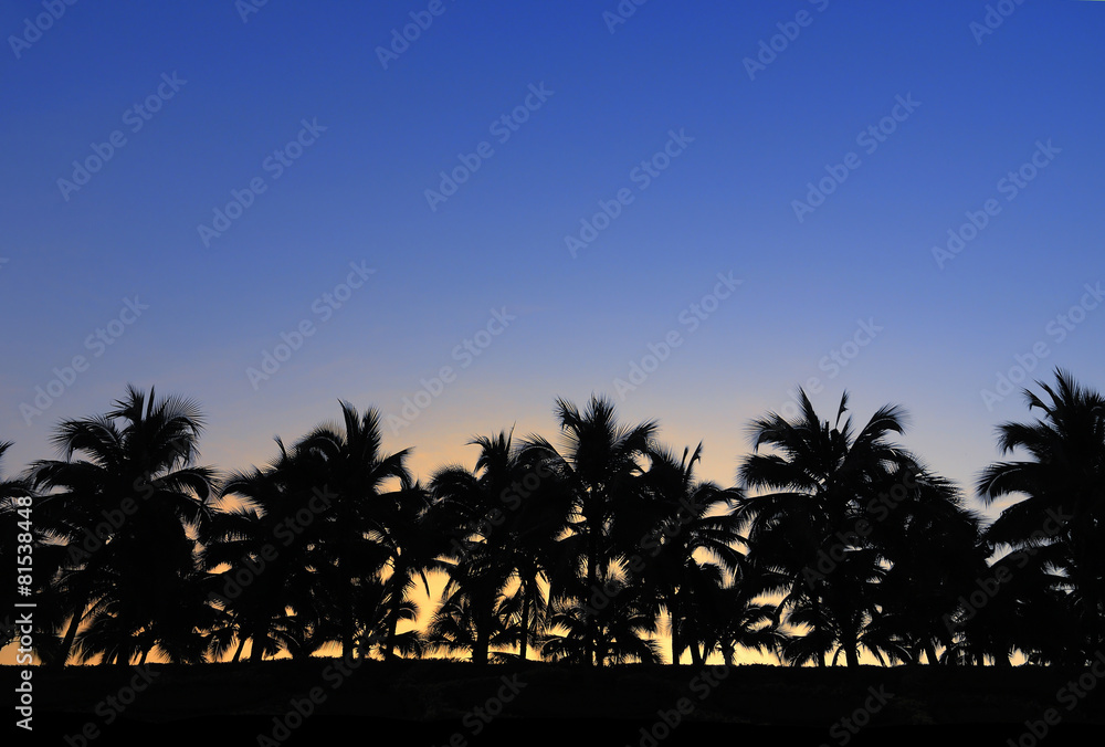 Obraz premium Sunset with silhouette of coconut tree