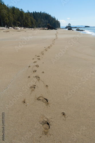 Footprints on beach, West Coast Trail, British Columbia, Canada.