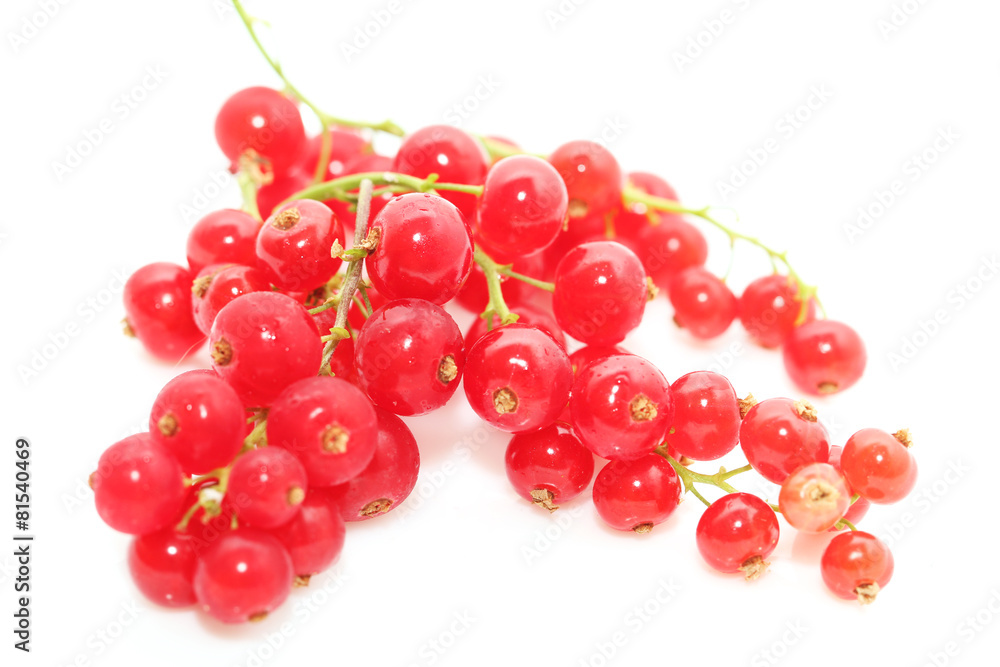 ripe red currants on a white background