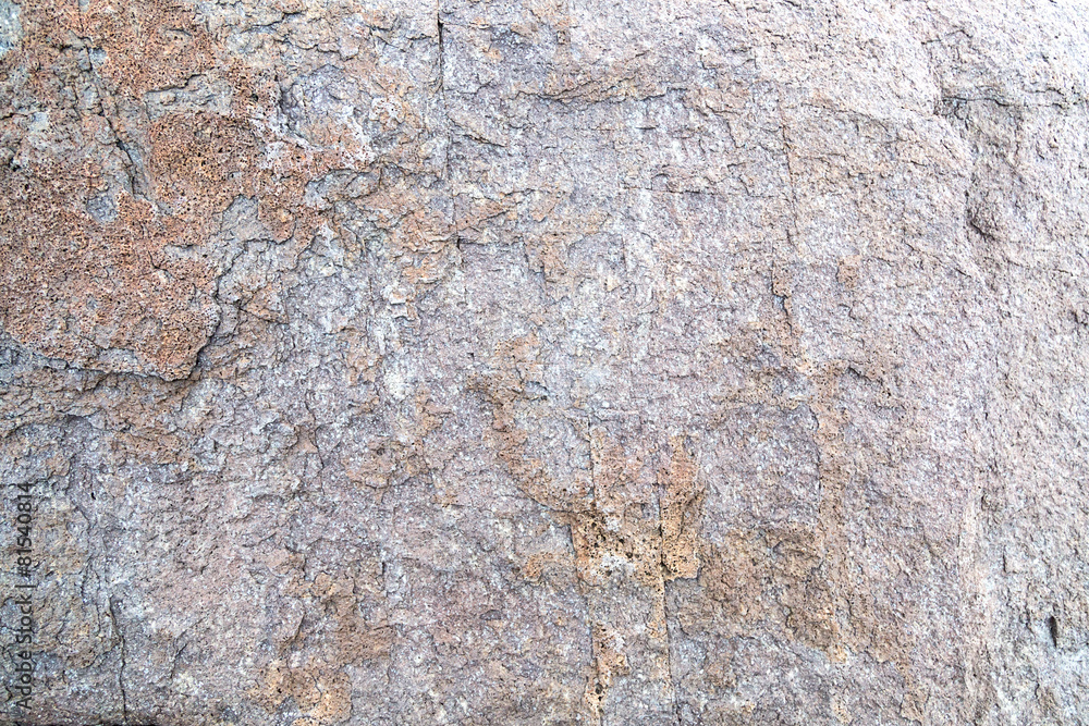stone rock moss background