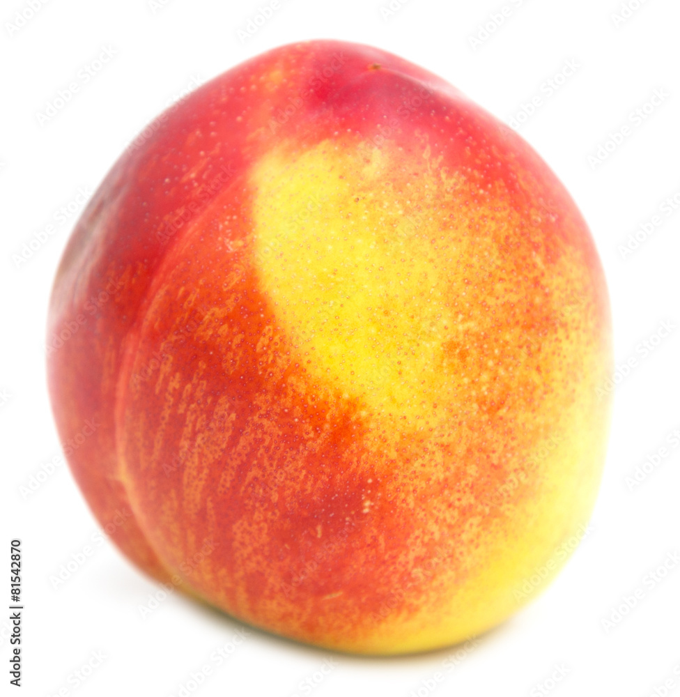 peaches on a white background peaches on a white background