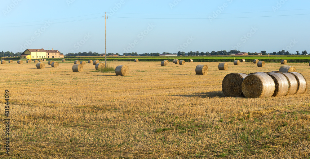 Country landscape near Ferrara (Italy)