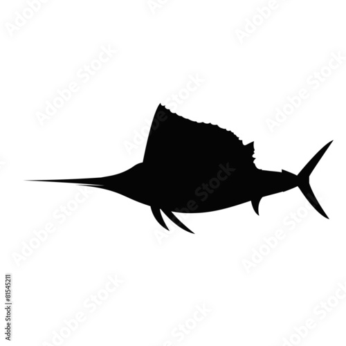 sailfish photo