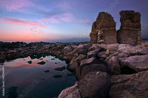 torre flavia