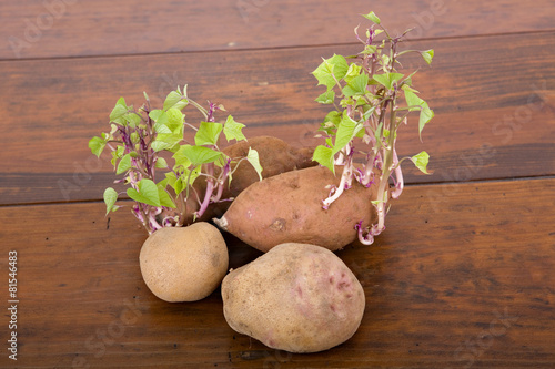 Potatoes sprouting