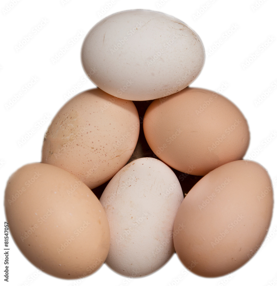eggs on a white background eggs on a white background