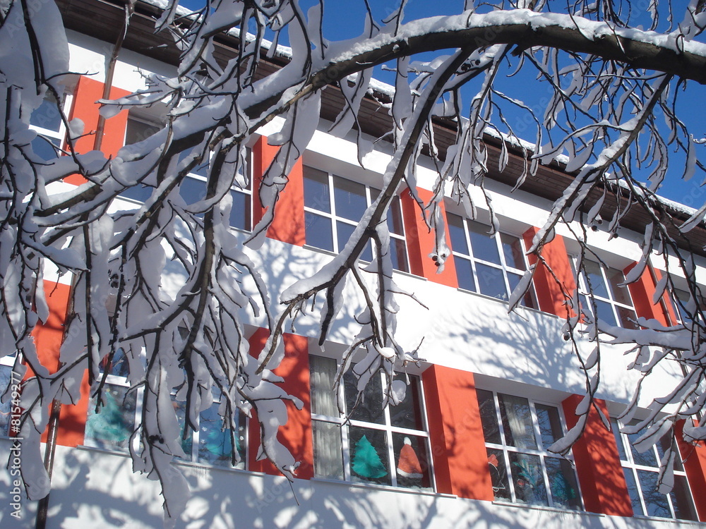 Sunny school facade and snowy tree branch