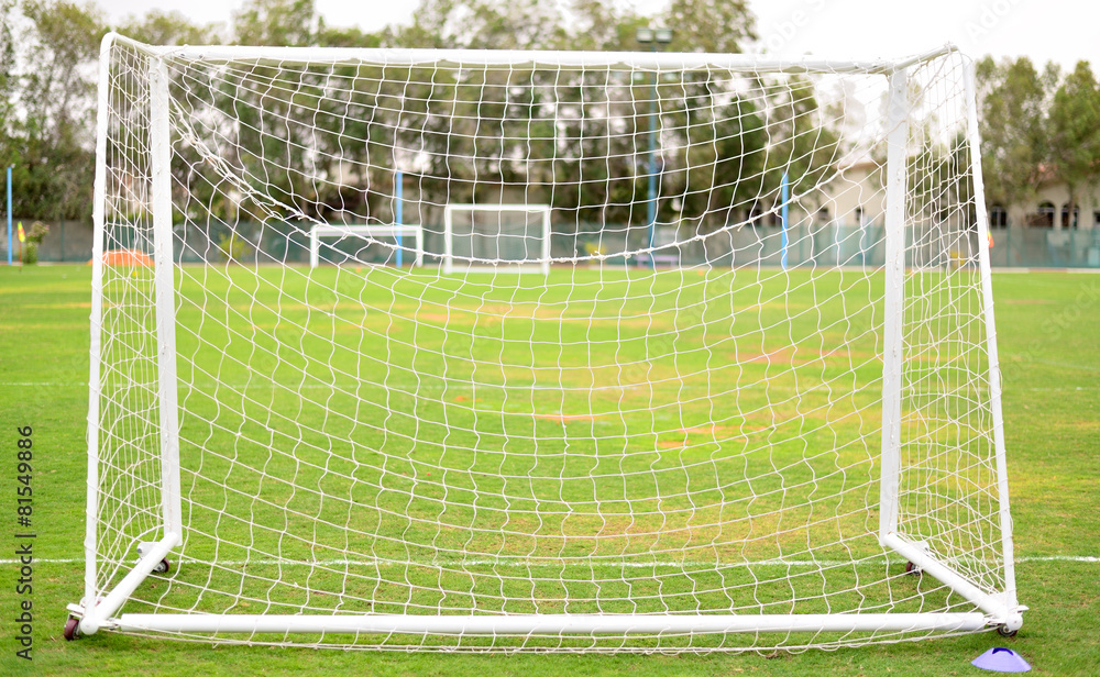 Fototapeta premium soccer field grass Goal