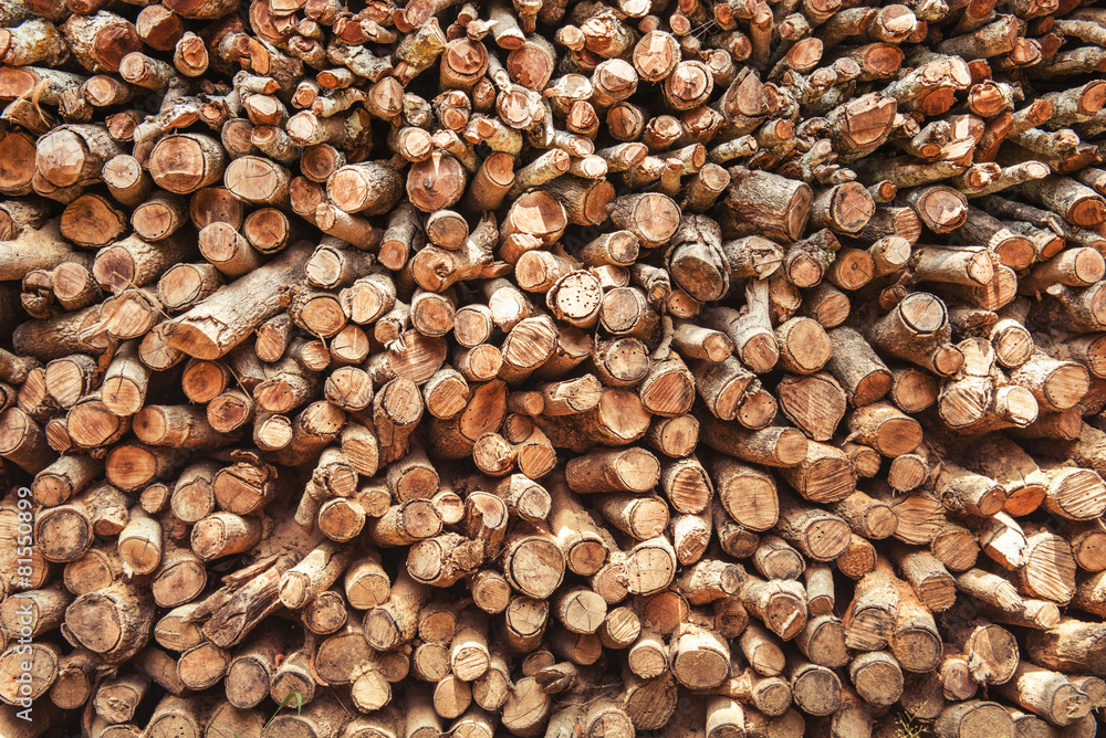 Background of dry chopped firewood logs in a pile Background of dry chopped firewood logs in a pile