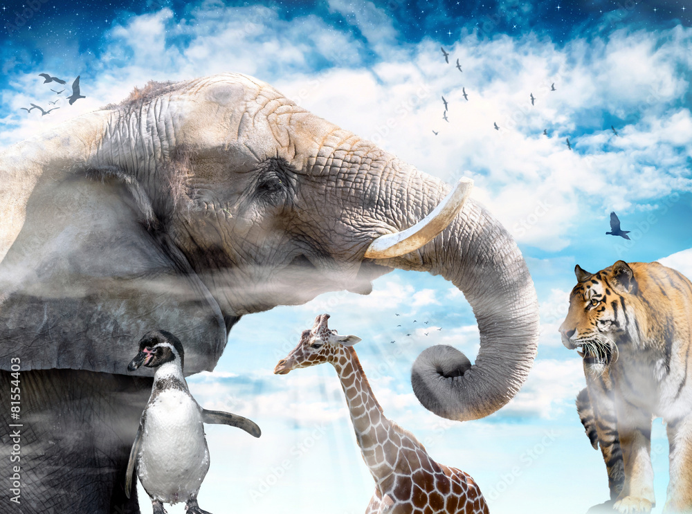 Fototapeta premium reworked