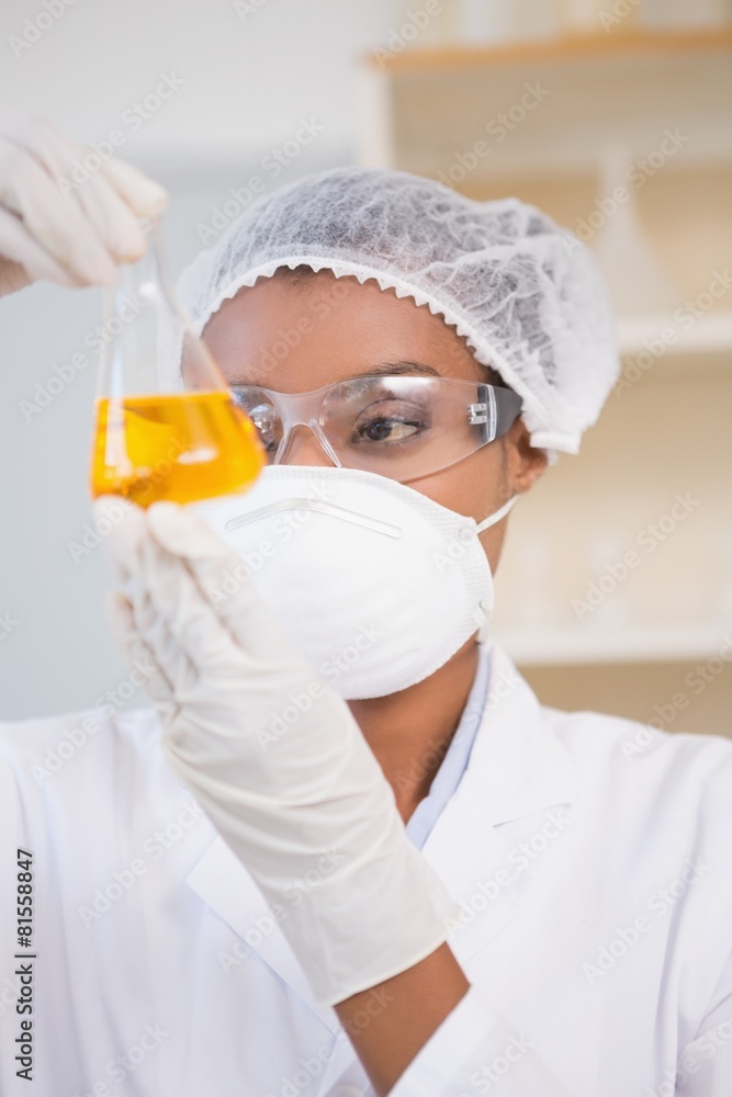 Scientist examining petri dish with orange fluid inside Scientist examining petri dish with orange fluid inside
