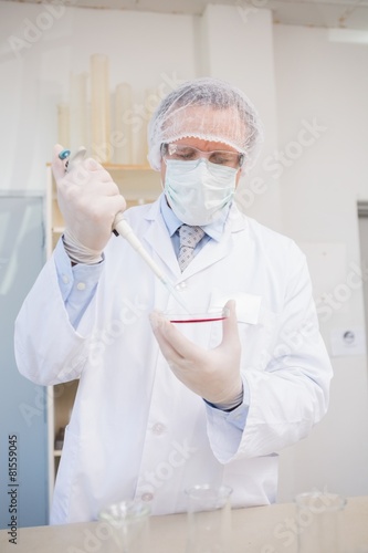 Scientist doing experimentations in petri dish