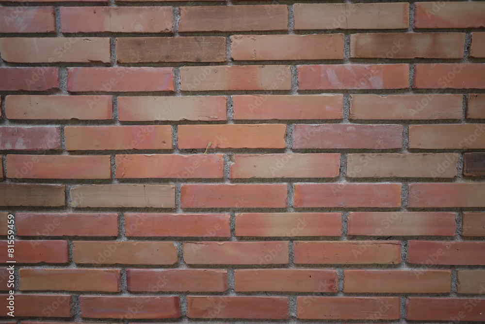 Brick wall texture Brick wall texture