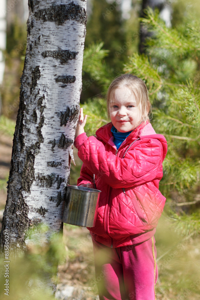 little girl collects birch sap in woods little girl collects birch sap in woods
