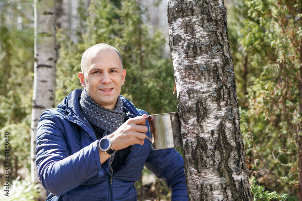 Man in woods collecting birch sap to steel mug Man in woods collecting birch sap to steel mug