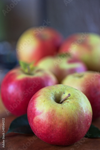harvest of apples