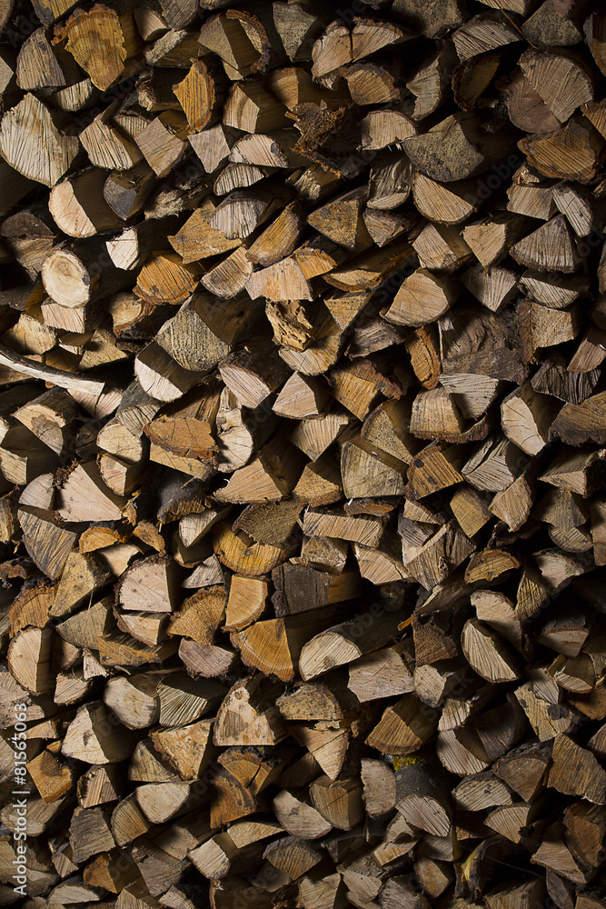 firewood / Dry firewood in a pile for furnace kindling firewood / Dry firewood in a pile for furnace kindling