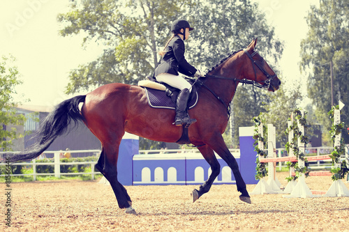 The horsewoman on a sports horse at competitions.