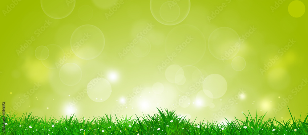 Obraz premium Spring Grass Banner