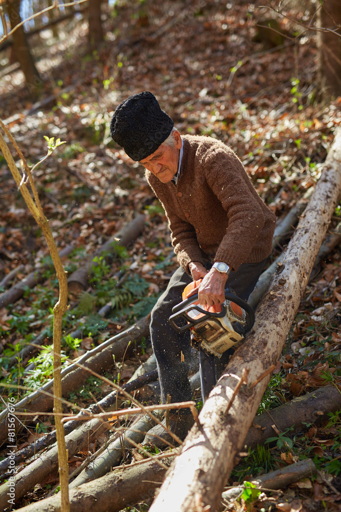 Naklejka premium Old woodcutter at work with chainsaw