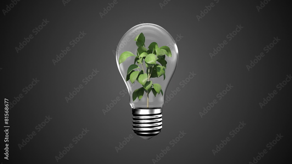 Hands presenting light bulb with plant Hands presenting light bulb with plant