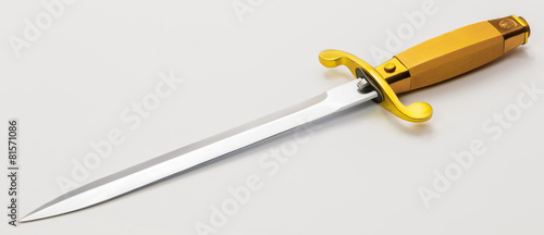 Εκτύπωση καμβά Without Scabbar