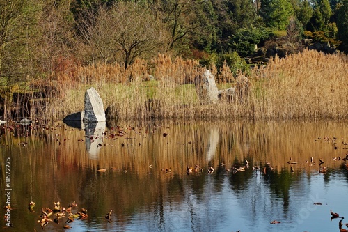 Sunny afternoon in the botanic garden