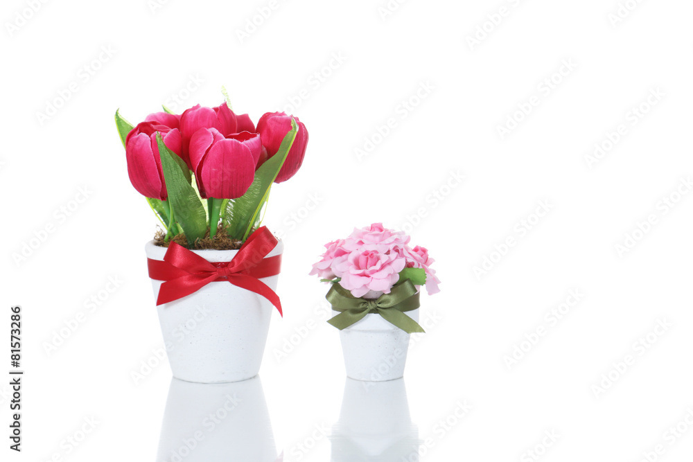 Red tulip and pink roses bouquet , isolated on white