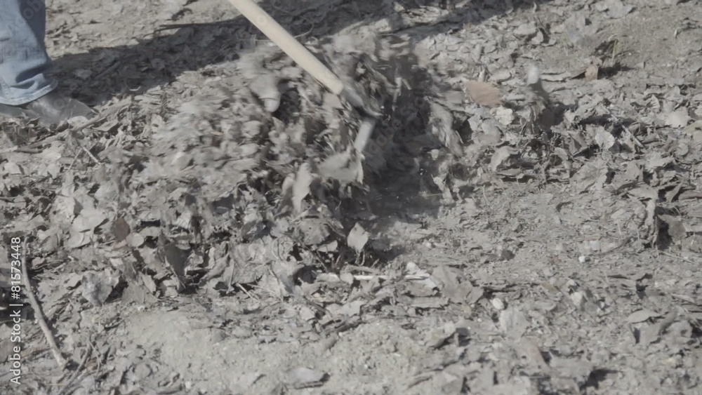 the man removes the rake garbage close up slow motion the man removes the rake garbage close up slow motion