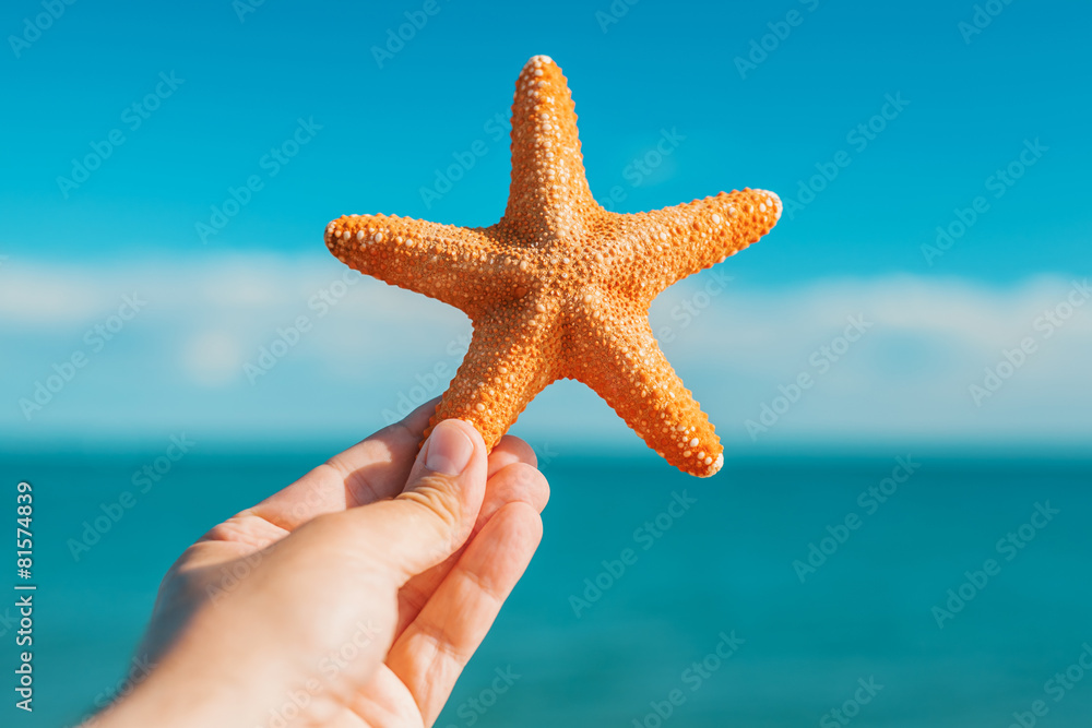 male hand holding big orange starfish in front of blue sea and s male hand holding big orange starfish in front of blue sea and s