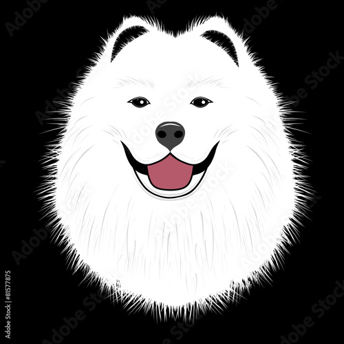 Dog samoyed, buddy puppy vector