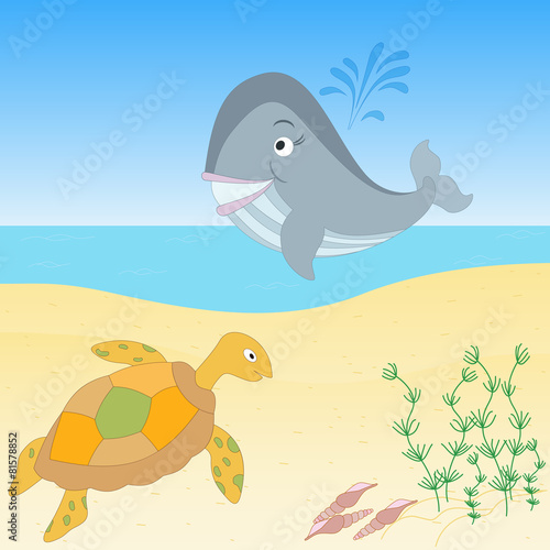 Sea creatures on a beach