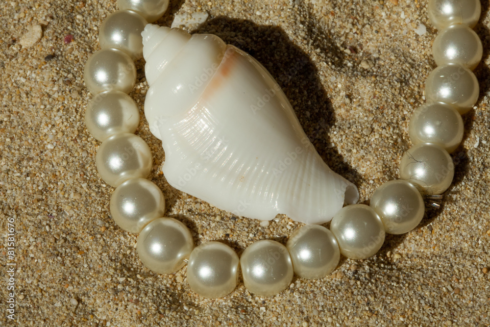 pearls and shell - Perlen und Muschel im Sand pearls and shell - Perlen und Muschel im Sand