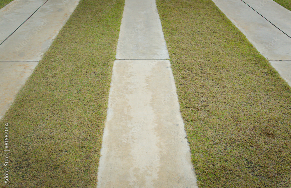 Obraz premium Ecological parking for cars and a green grass