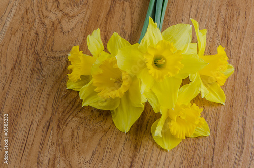 Jonquil flowers