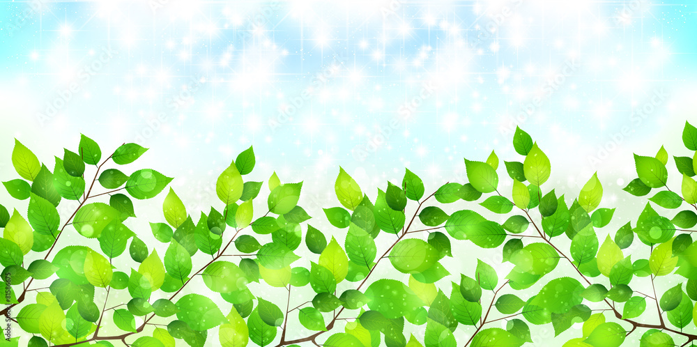 Obraz premium 葉 新緑 背景