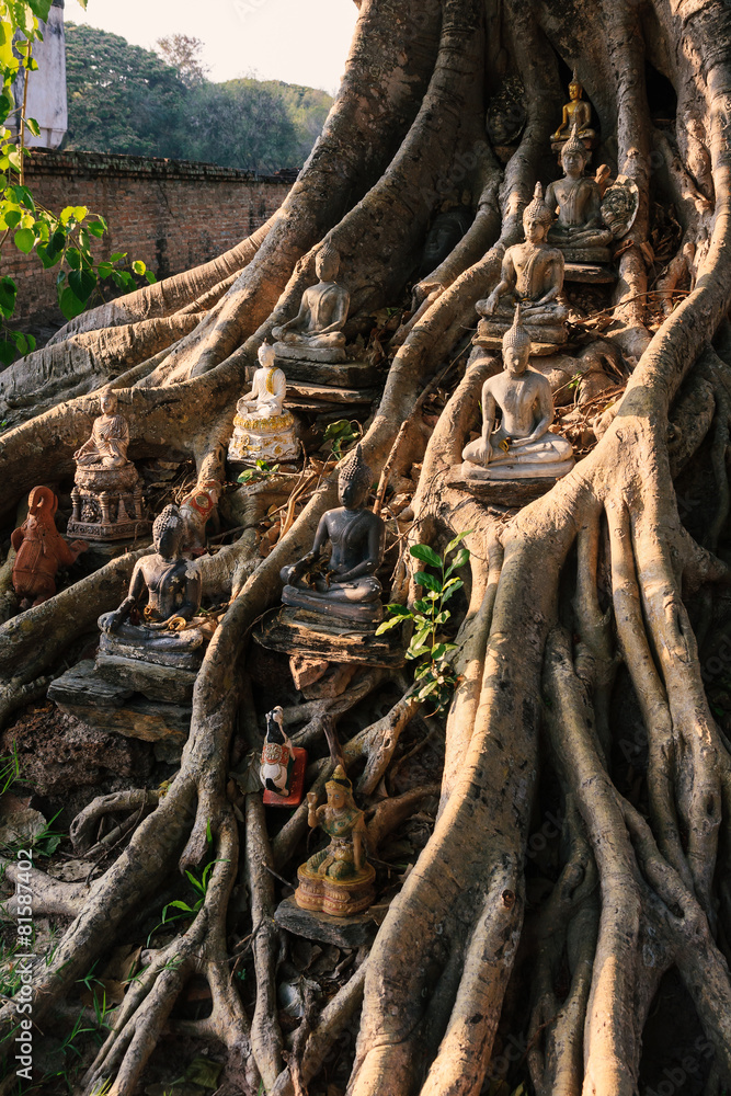 Buddha statue