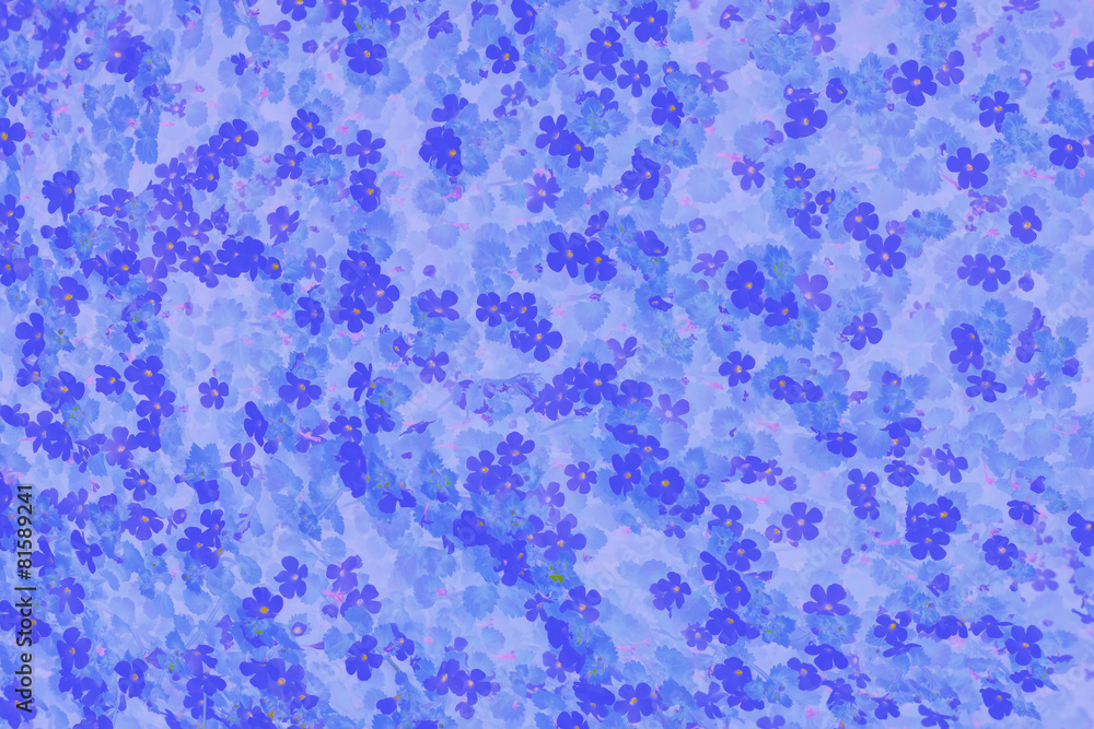 Obraz premium floral background