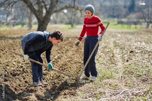 Sowing potatoes