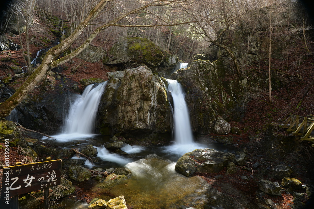 Fototapeta premium 乙女の滝