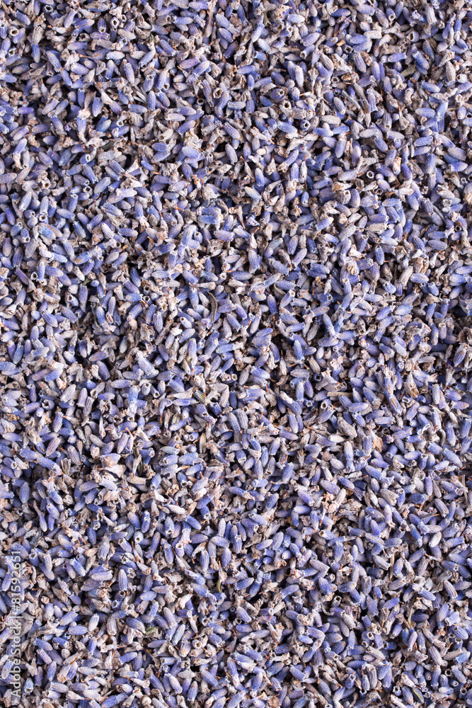 Fototapeta premium Dried lavender flowers.