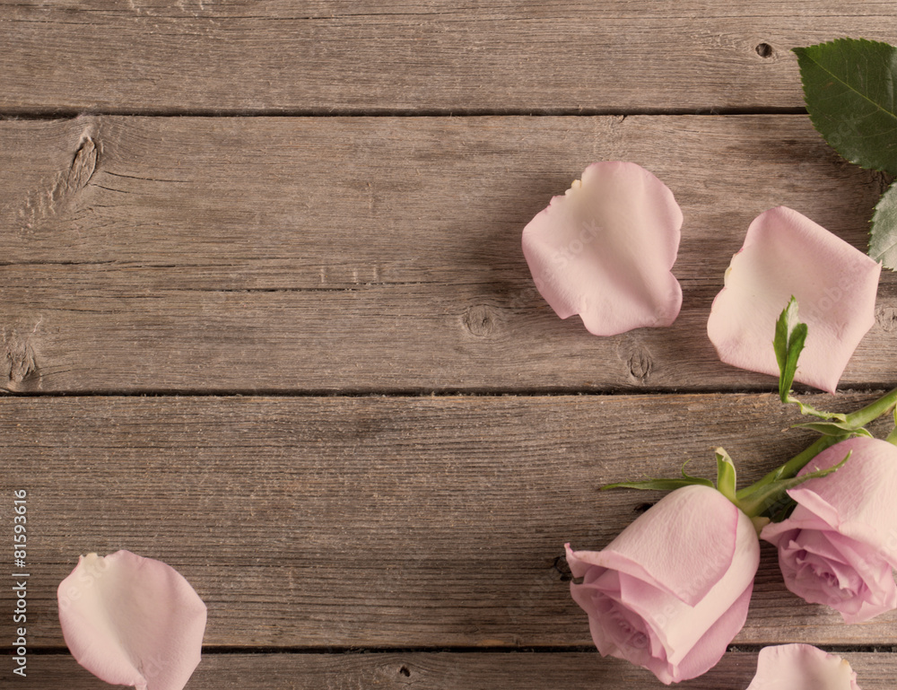 rose on wooden background
